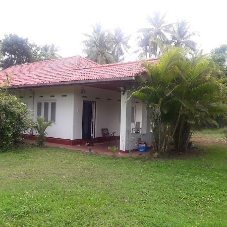 International Meditation Center Hotel Mirissa Exterior foto