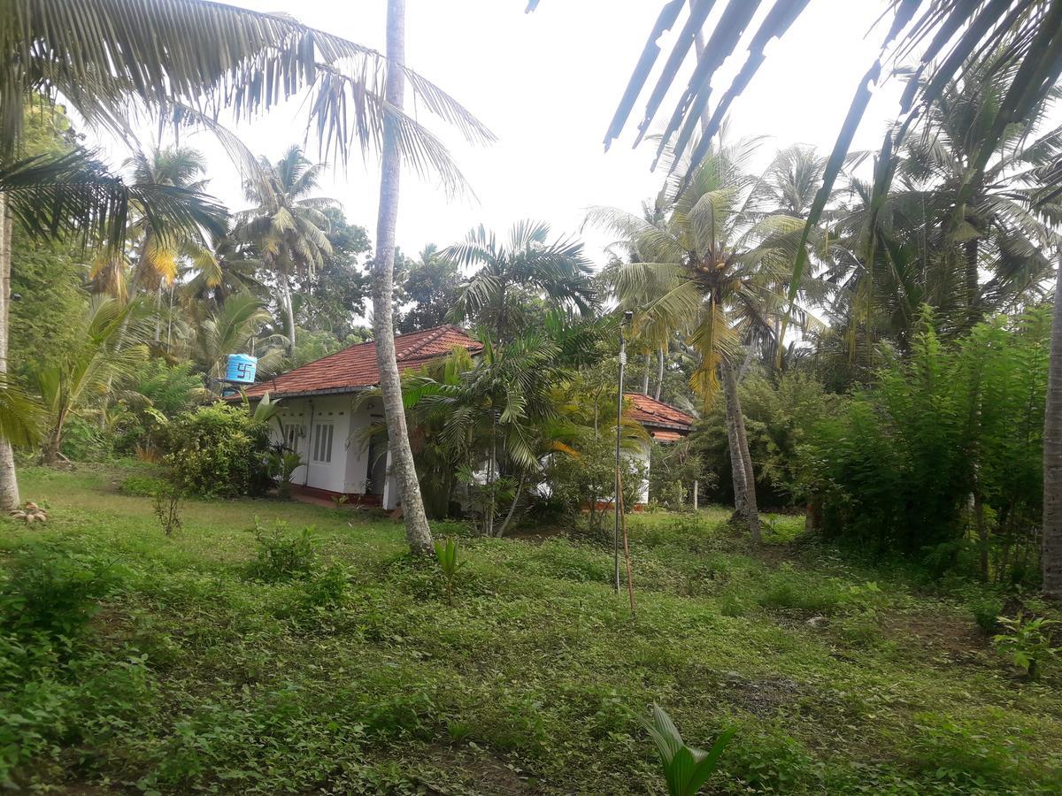 International Meditation Center Hotel Mirissa Exterior foto