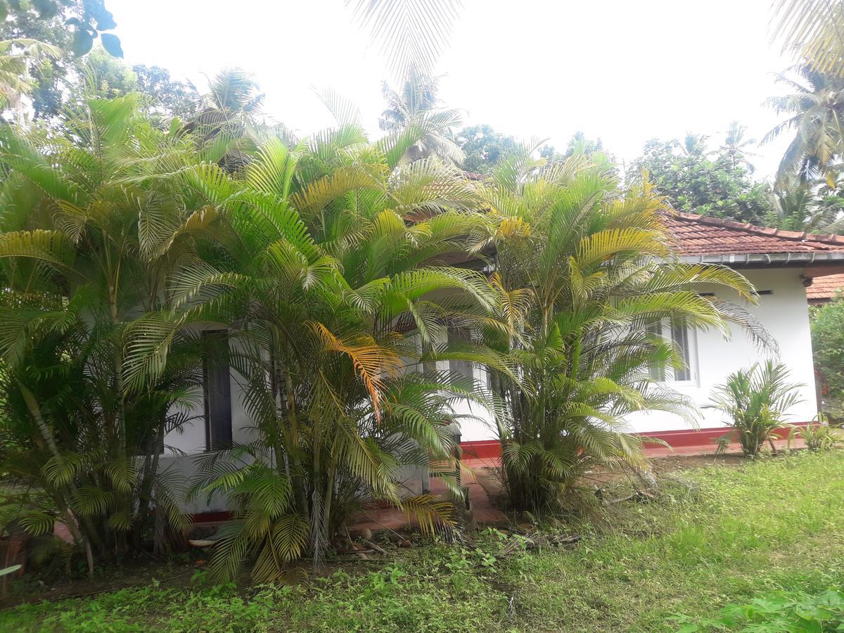 International Meditation Center Hotel Mirissa Exterior foto