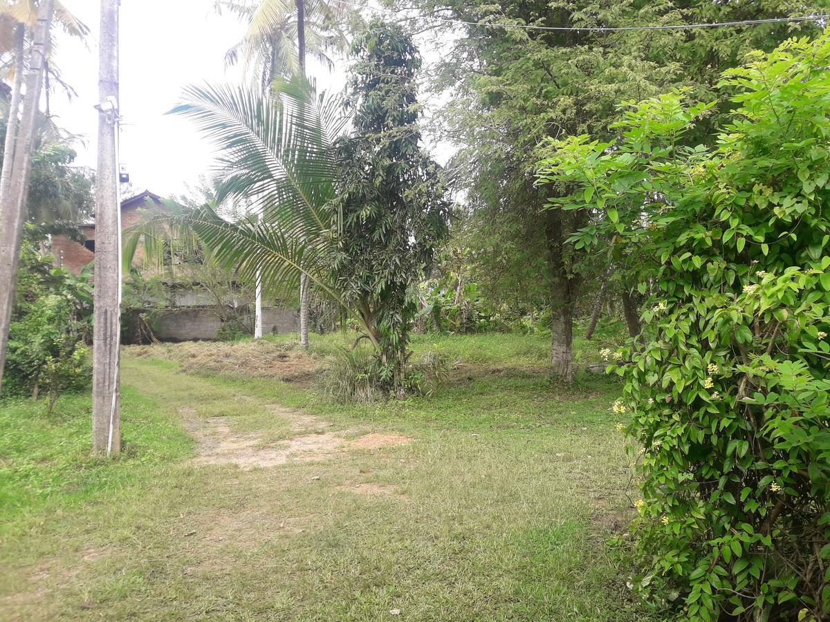 International Meditation Center Hotel Mirissa Exterior foto