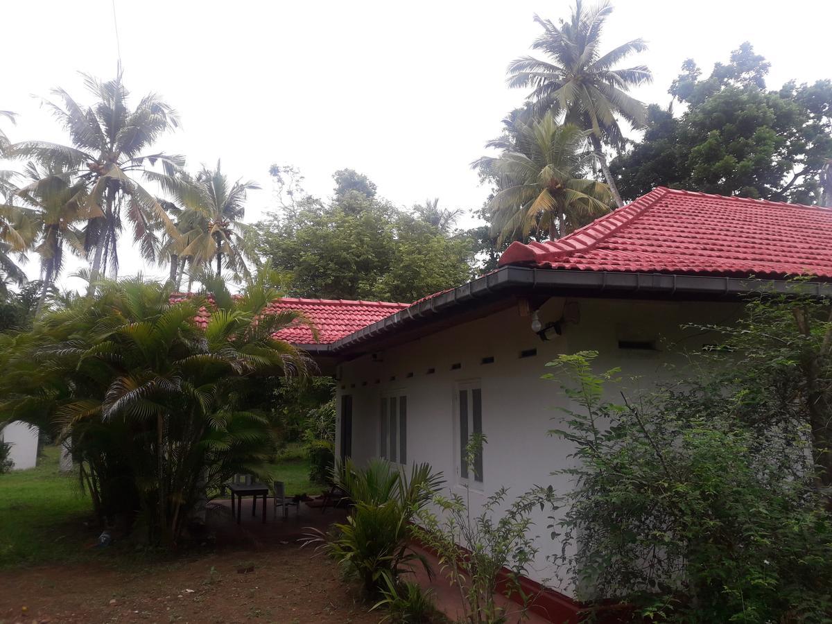 International Meditation Center Hotel Mirissa Exterior foto