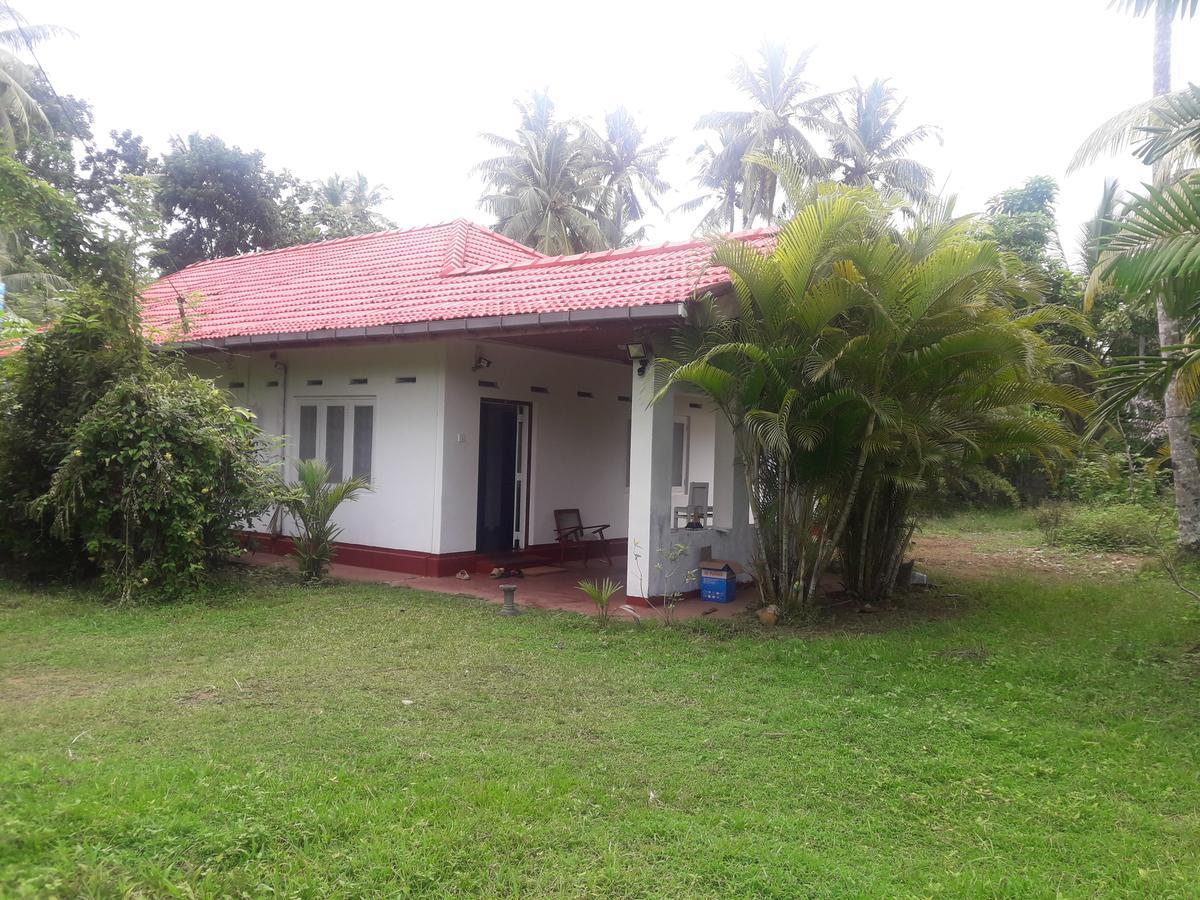 International Meditation Center Hotel Mirissa Exterior foto