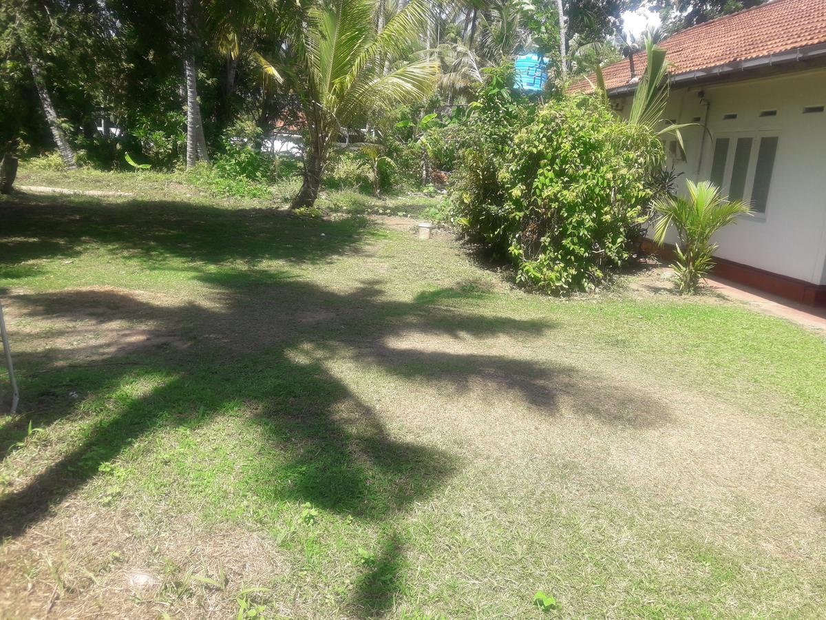 International Meditation Center Hotel Mirissa Exterior foto