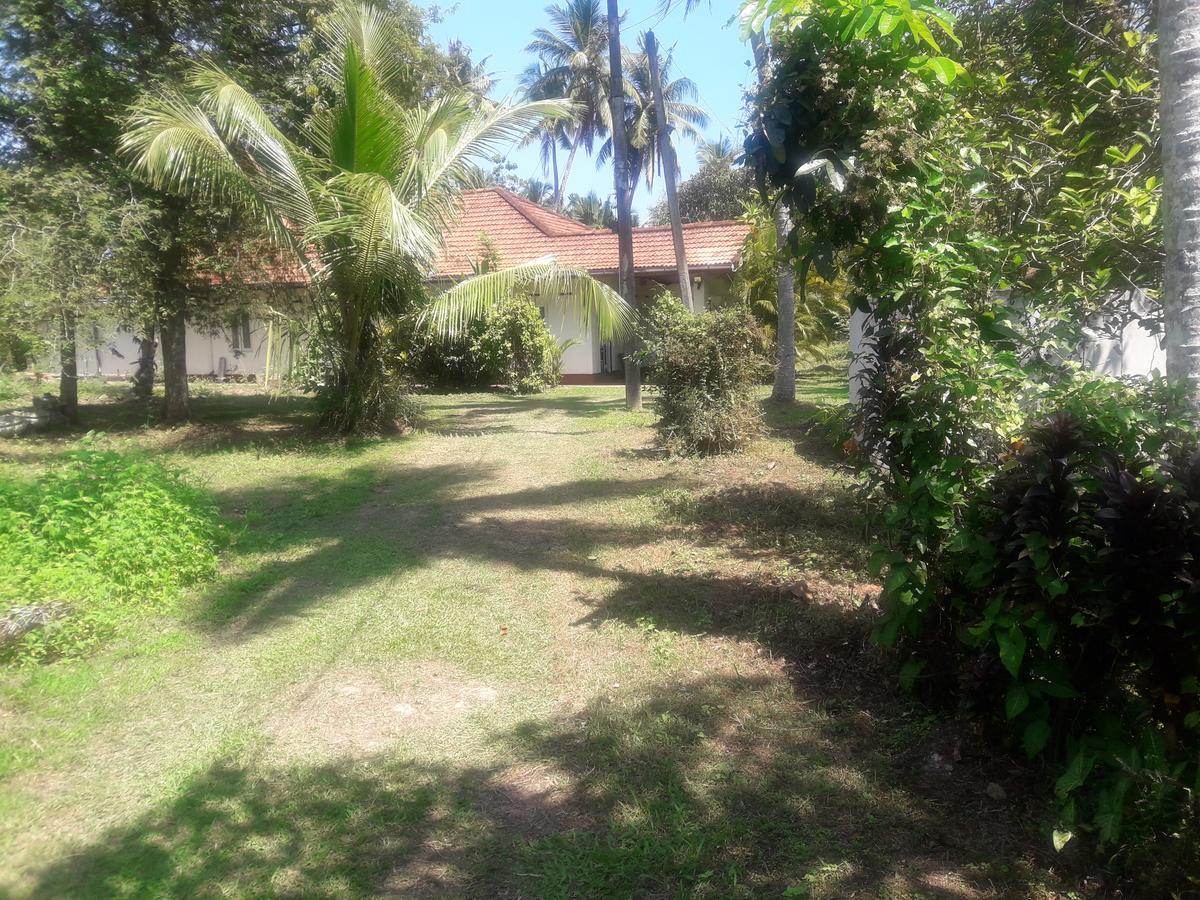 International Meditation Center Hotel Mirissa Exterior foto